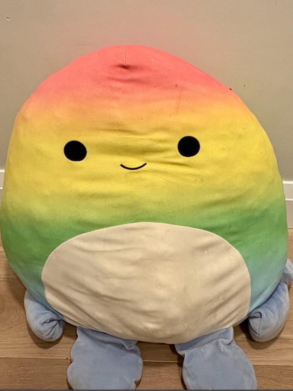 24" Rainbow Glow-in-the-Dark Dog Squishmallow